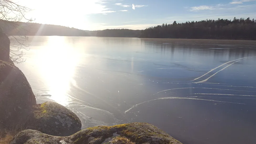 Klicka för att förstora