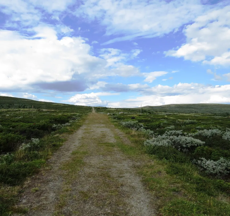 Klicka för att förstora
