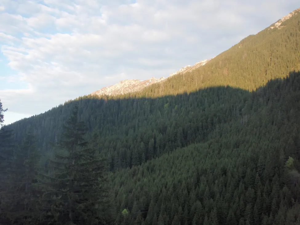 Klicka för att förstora