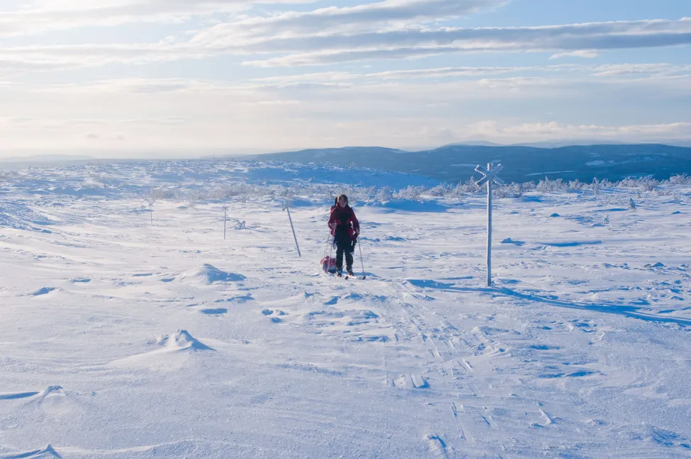 Klicka för att förstora