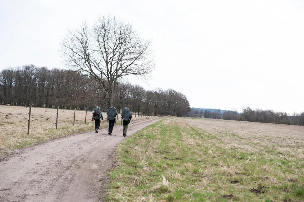 Klicka för att förstora