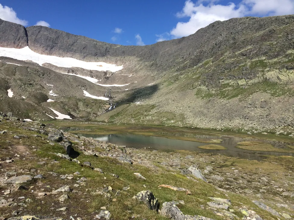 Klicka för att förstora