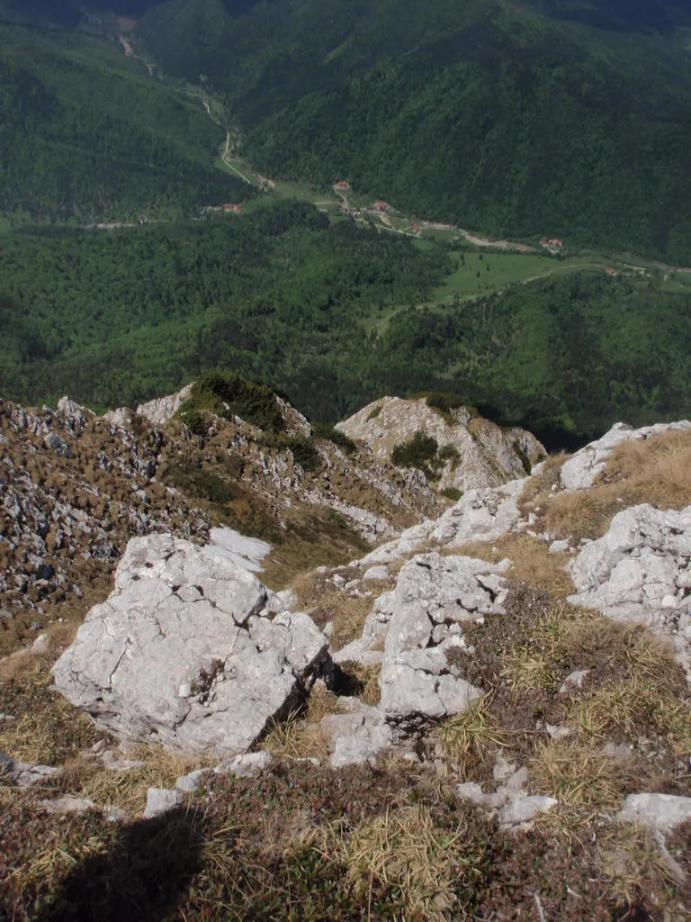 Klicka för att förstora