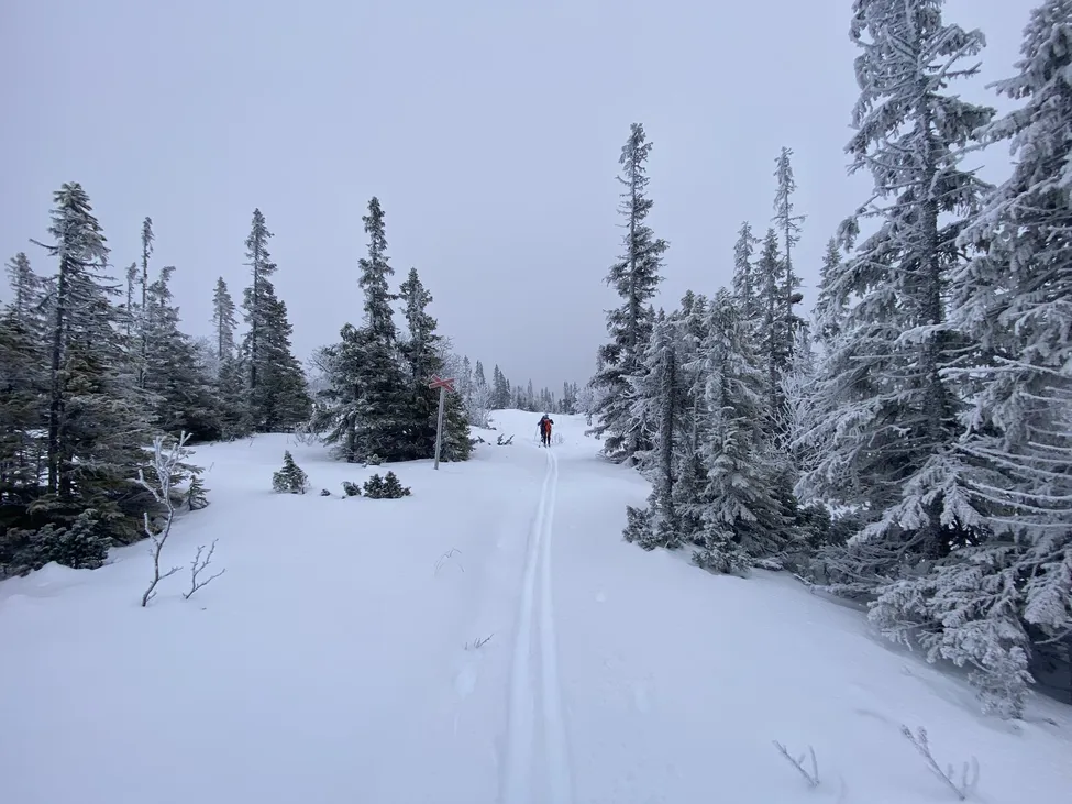 Klicka för att förstora