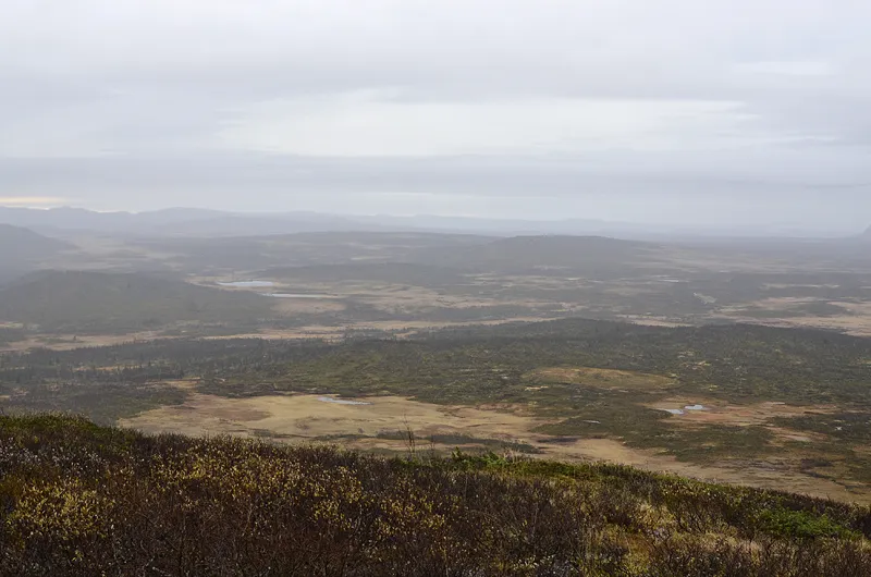 Klicka för att förstora
