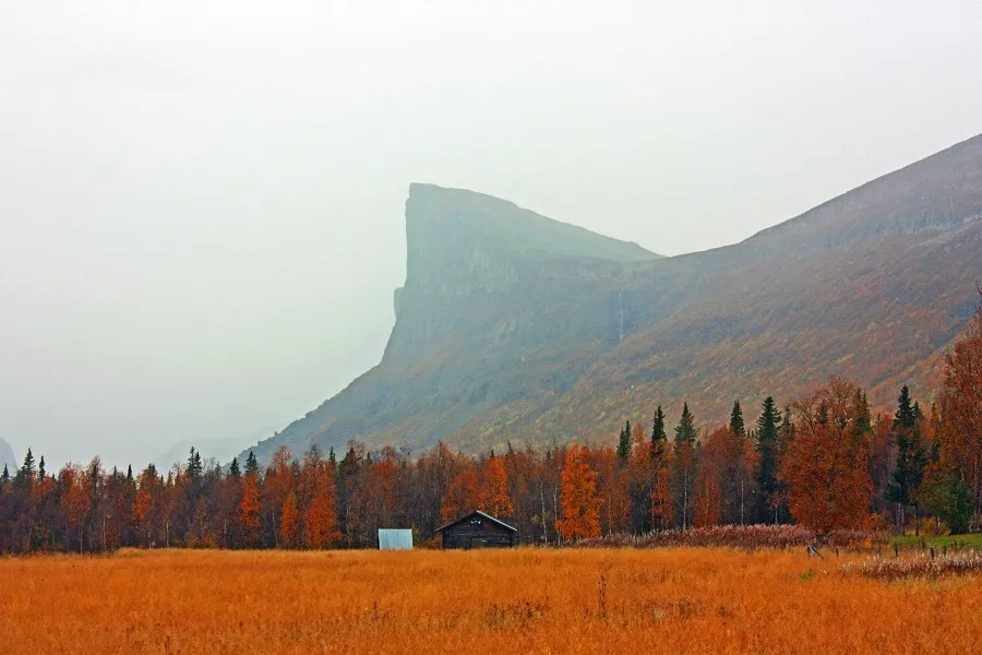 Klicka för att förstora