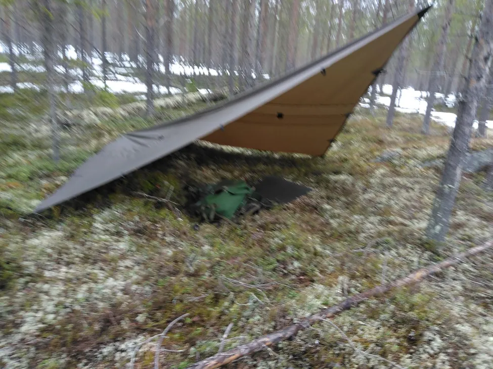 Klicka för att förstora