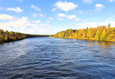 Junsele - True Crime, Del I