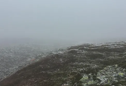 Oktoberdimma på Fulufjället