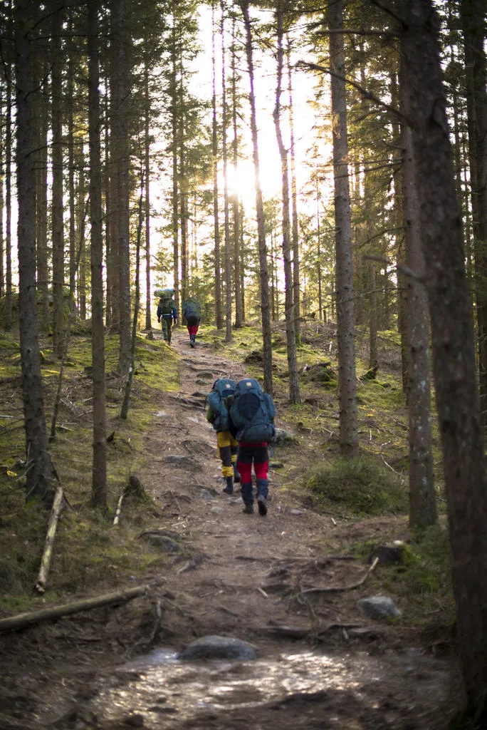 Klicka för att förstora