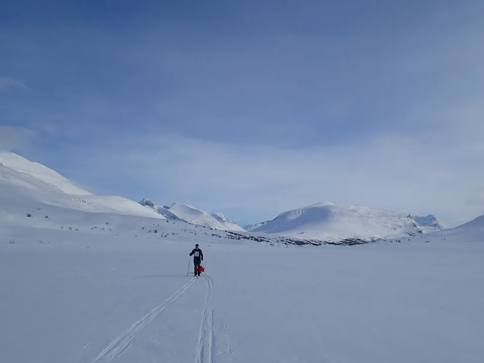 Klicka för att förstora