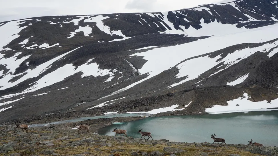 Klicka för att förstora