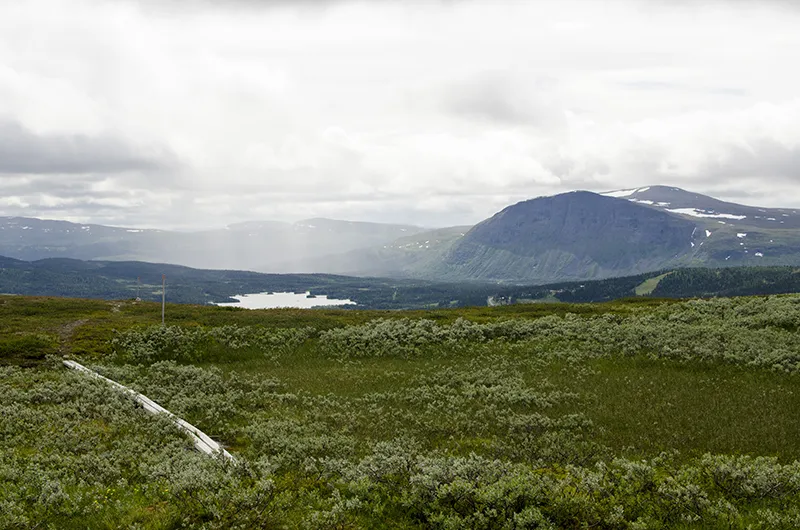 Klicka för att förstora