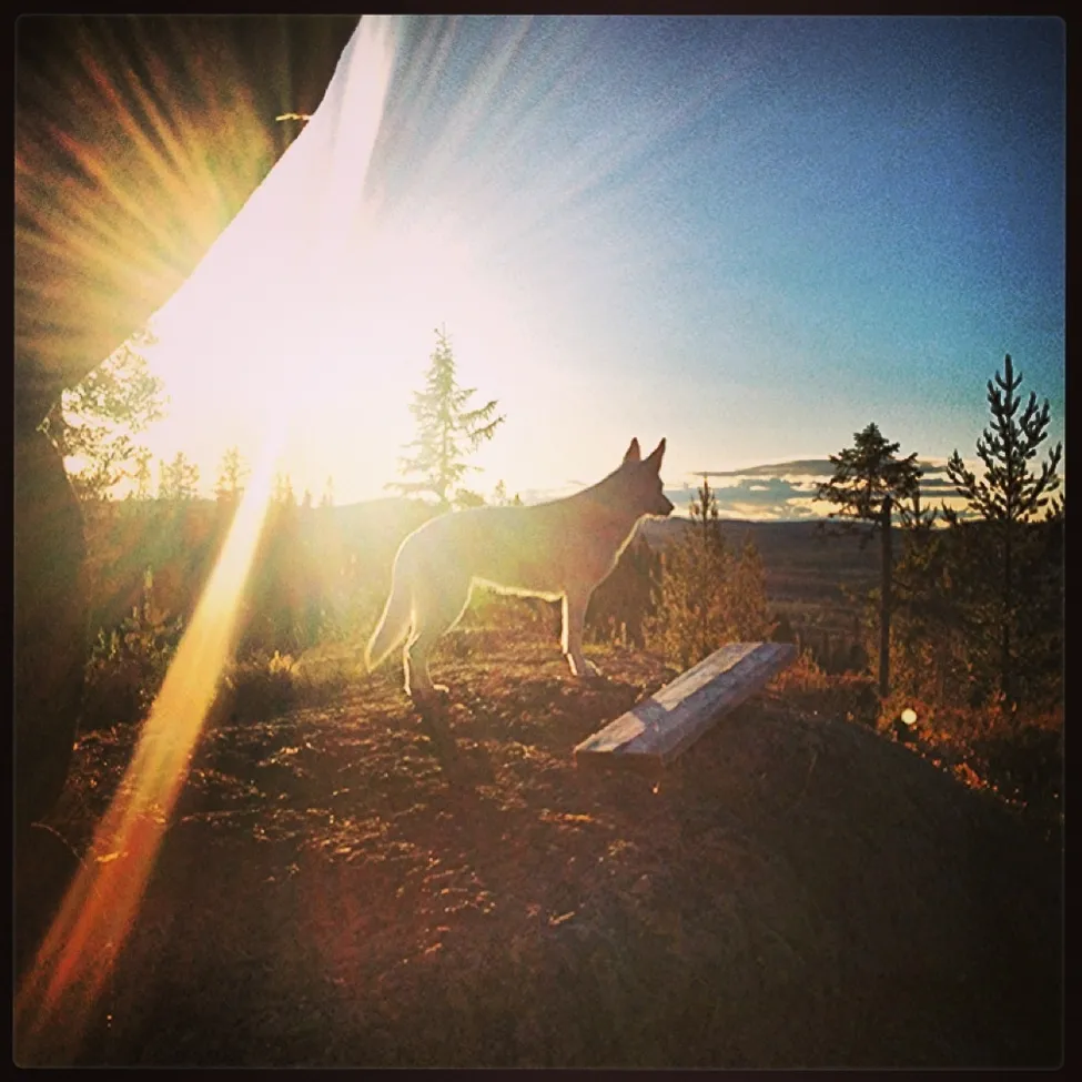 Klicka för att förstora