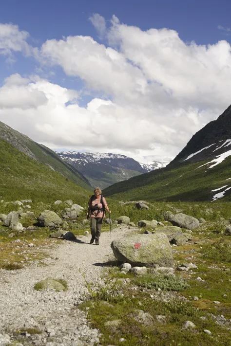 Klicka för att förstora