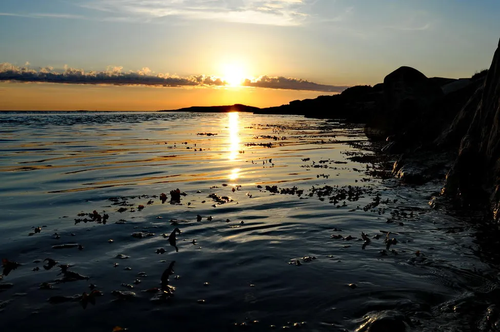 Klicka för att förstora