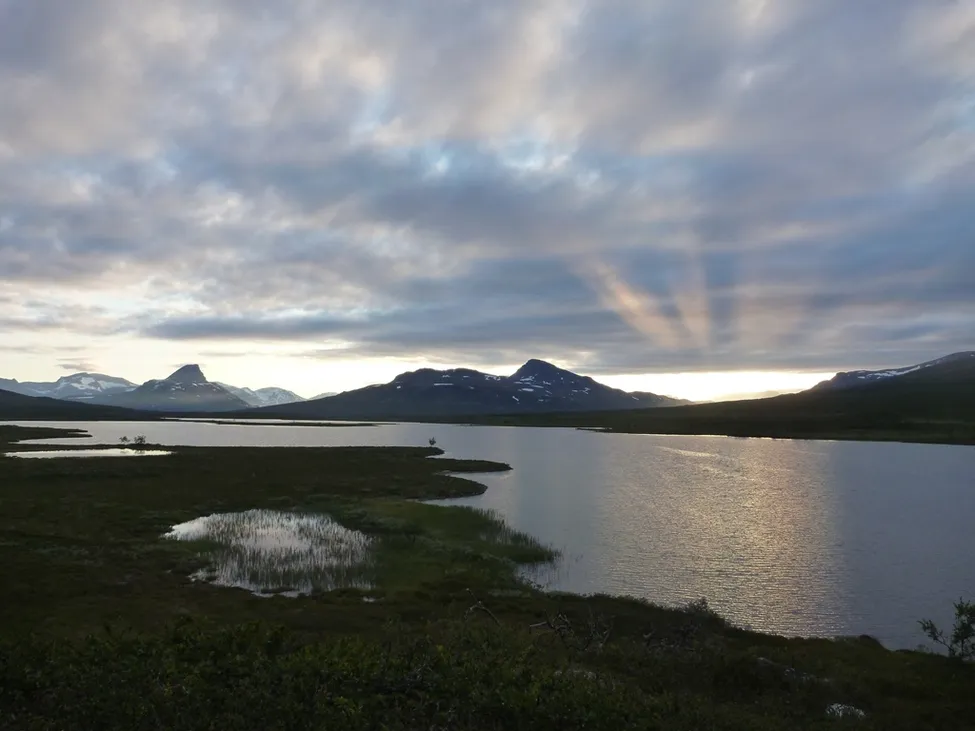 Klicka för att förstora