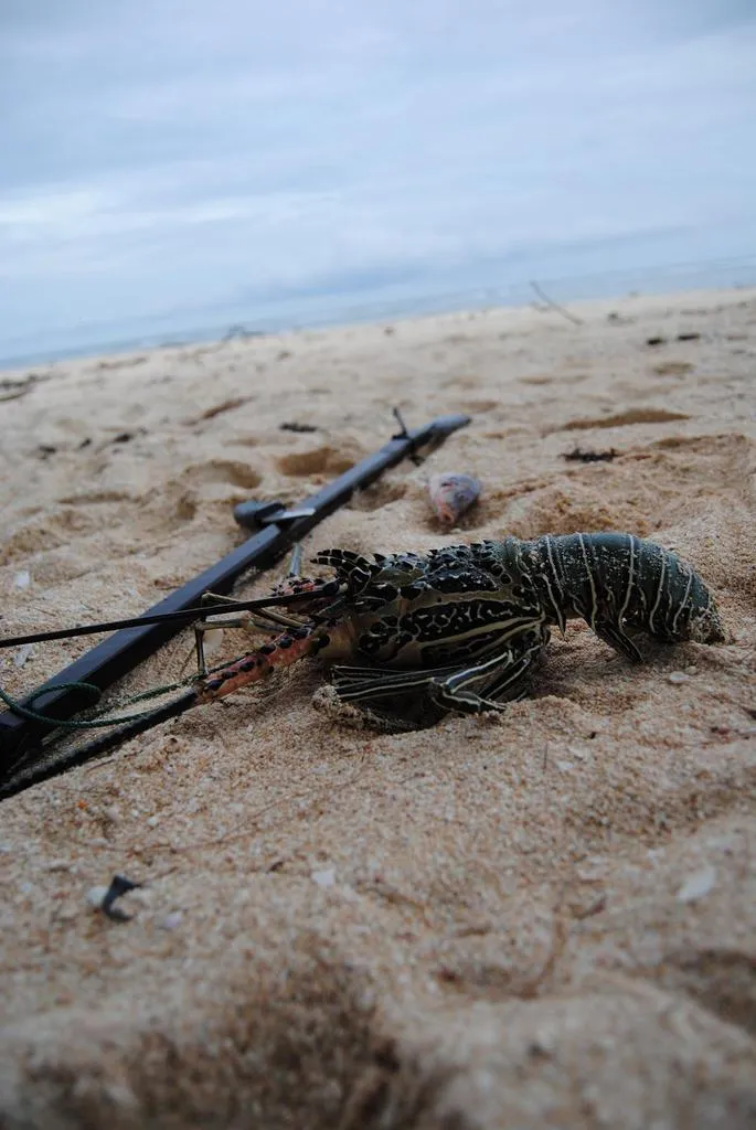 Klicka för att förstora