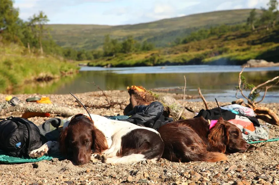 Klicka för att förstora