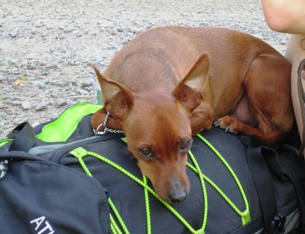 Klicka för att förstora