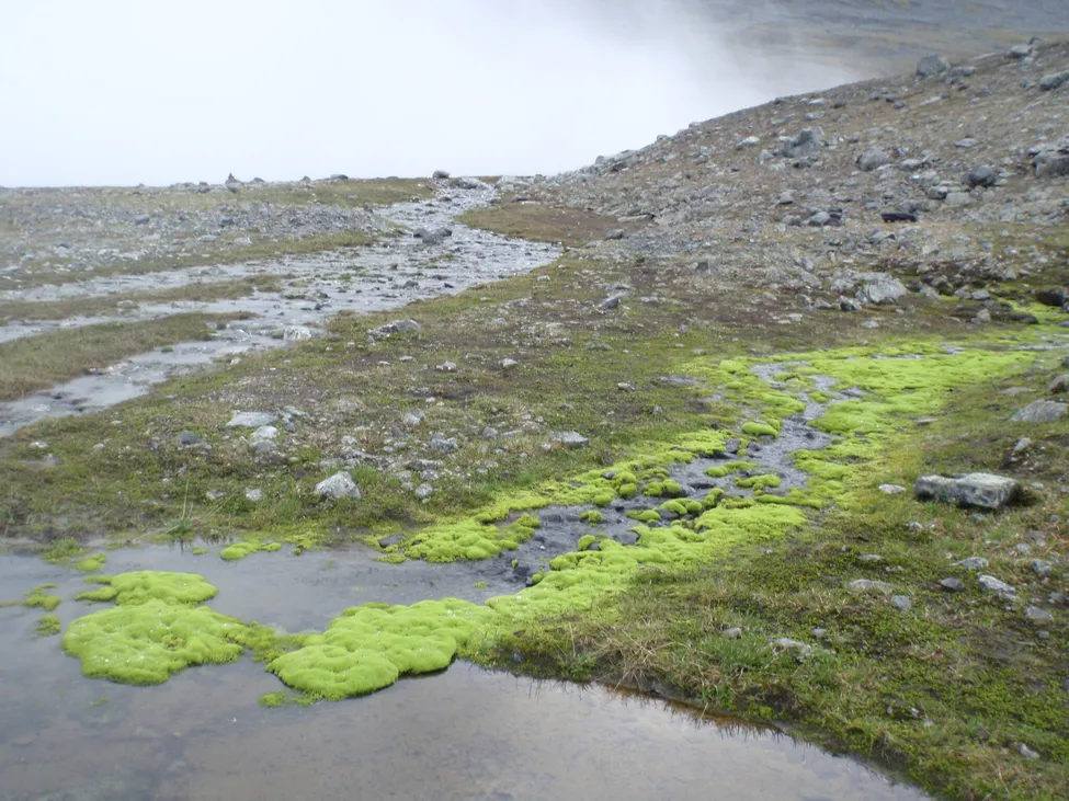 Klicka för att förstora