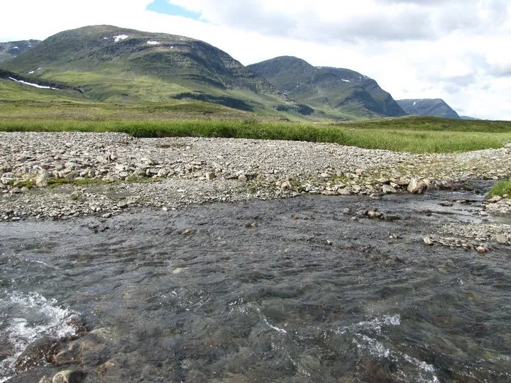 Klicka för att förstora