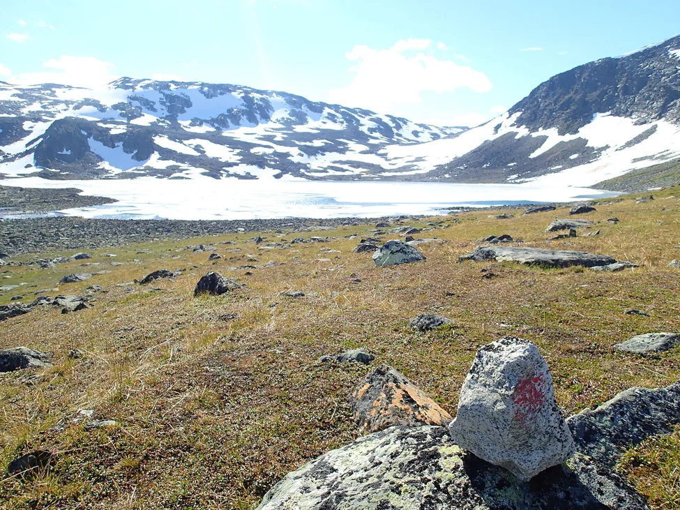 Klicka för att förstora