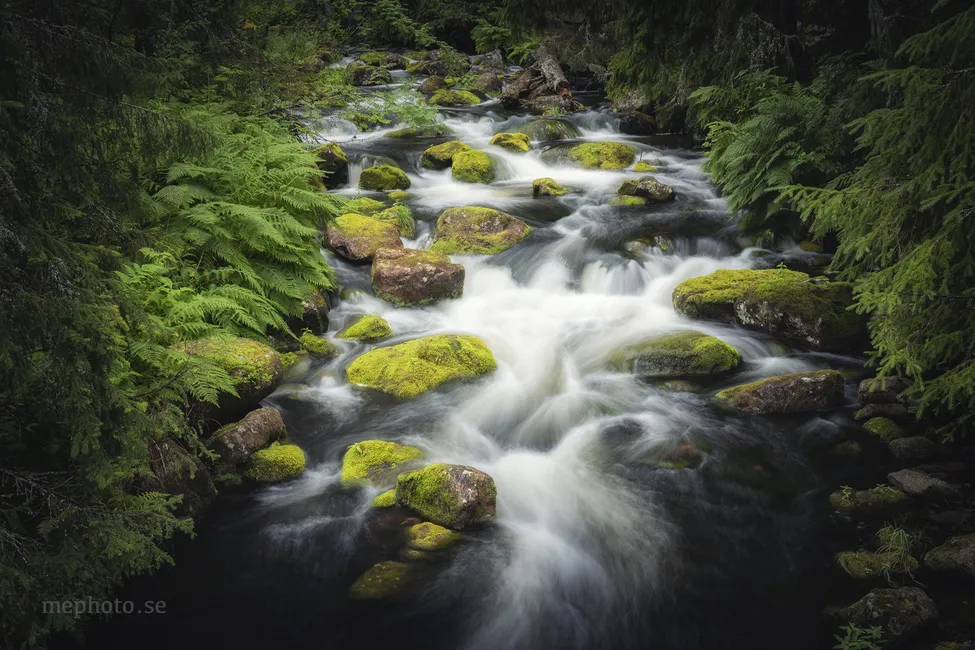 Klicka för att förstora