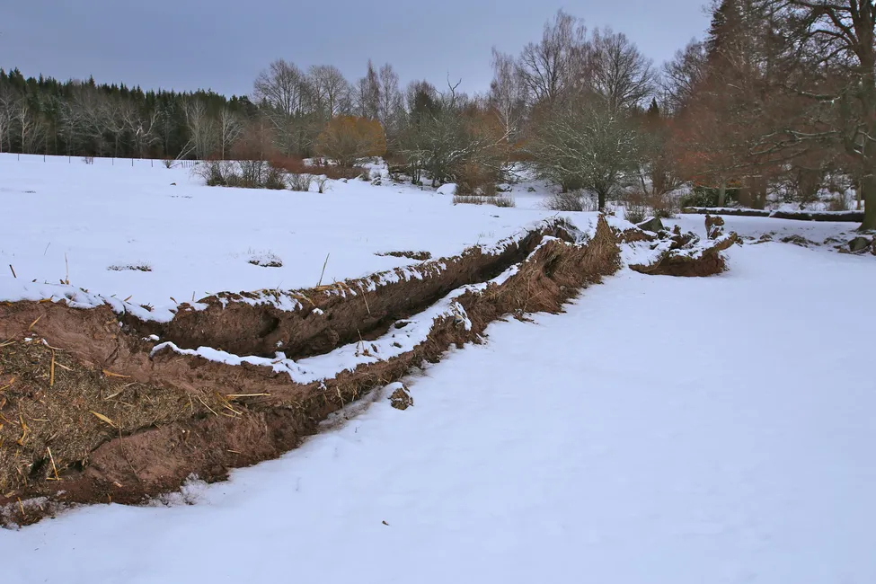 Klicka för att förstora