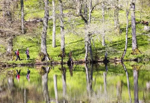 Billingeleden delas in i etapper för bättre tillgänglighet
