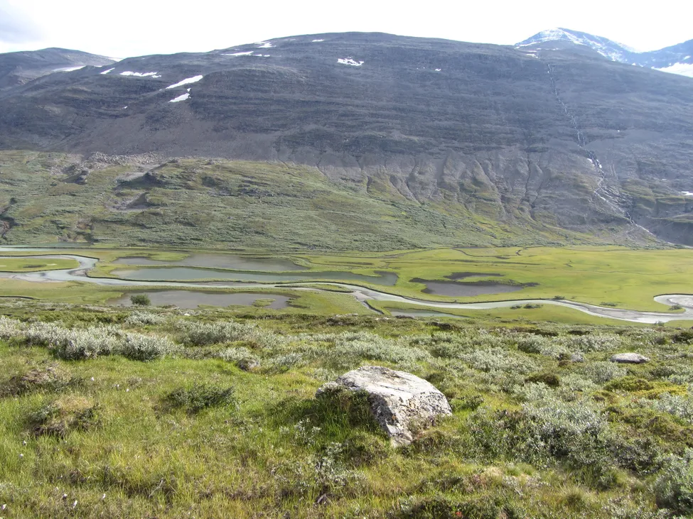 Klicka för att förstora