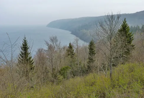 Två pensionärer skådar vid Tåkern