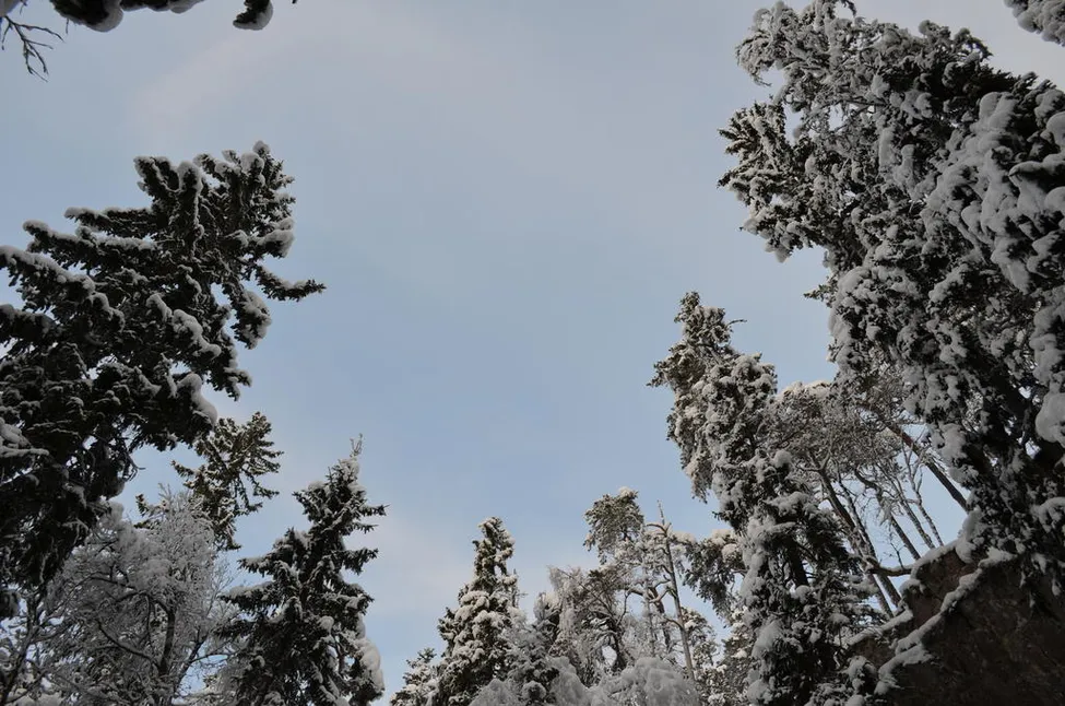 Klicka för att förstora