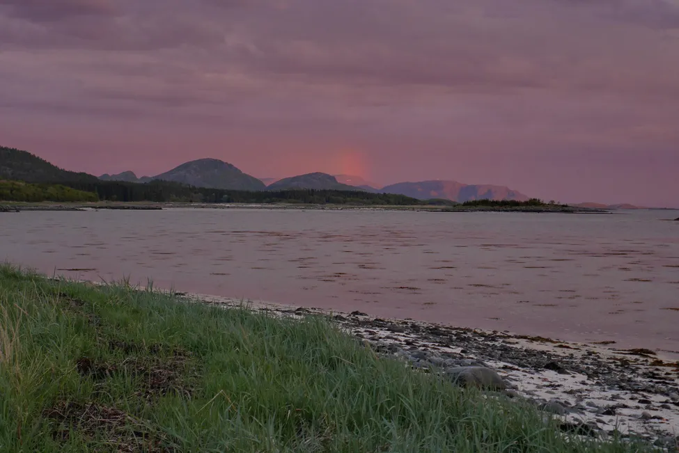 Klicka för att förstora