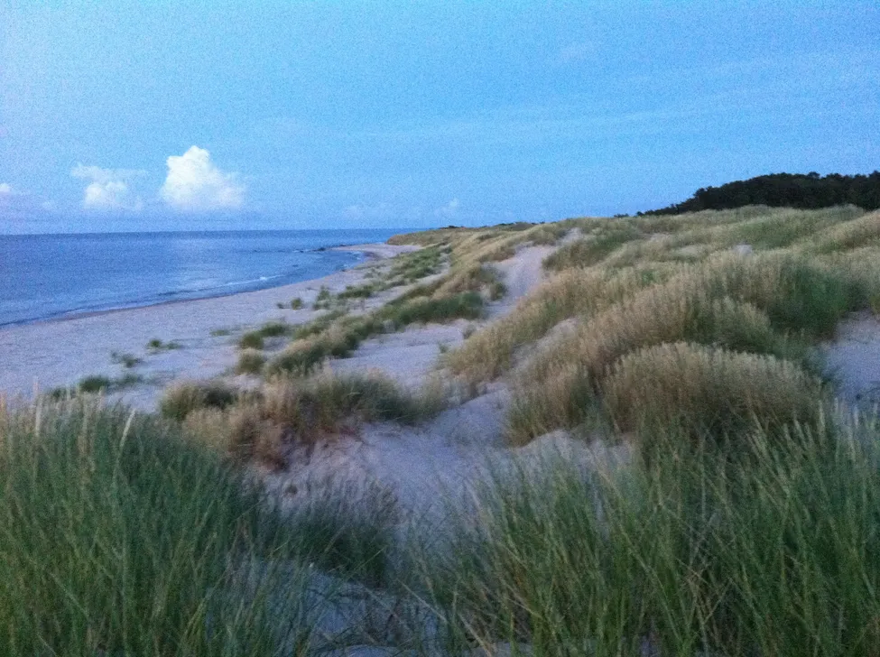 Klicka för att förstora