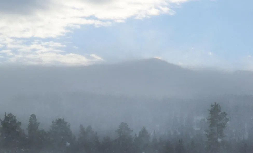 Klicka för att förstora