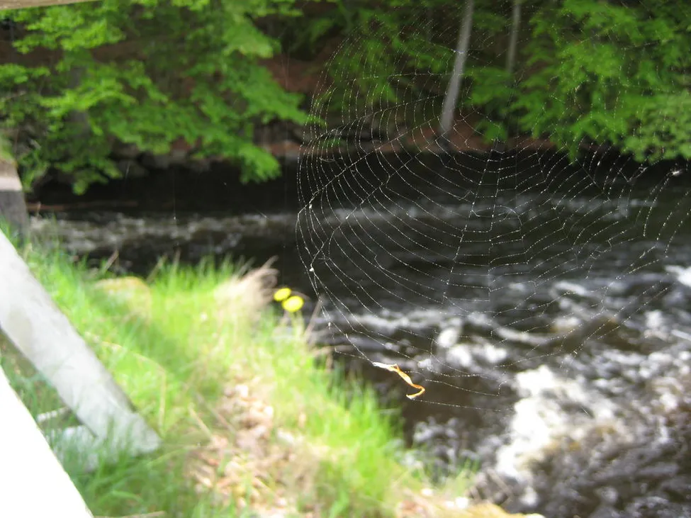 Klicka för att förstora