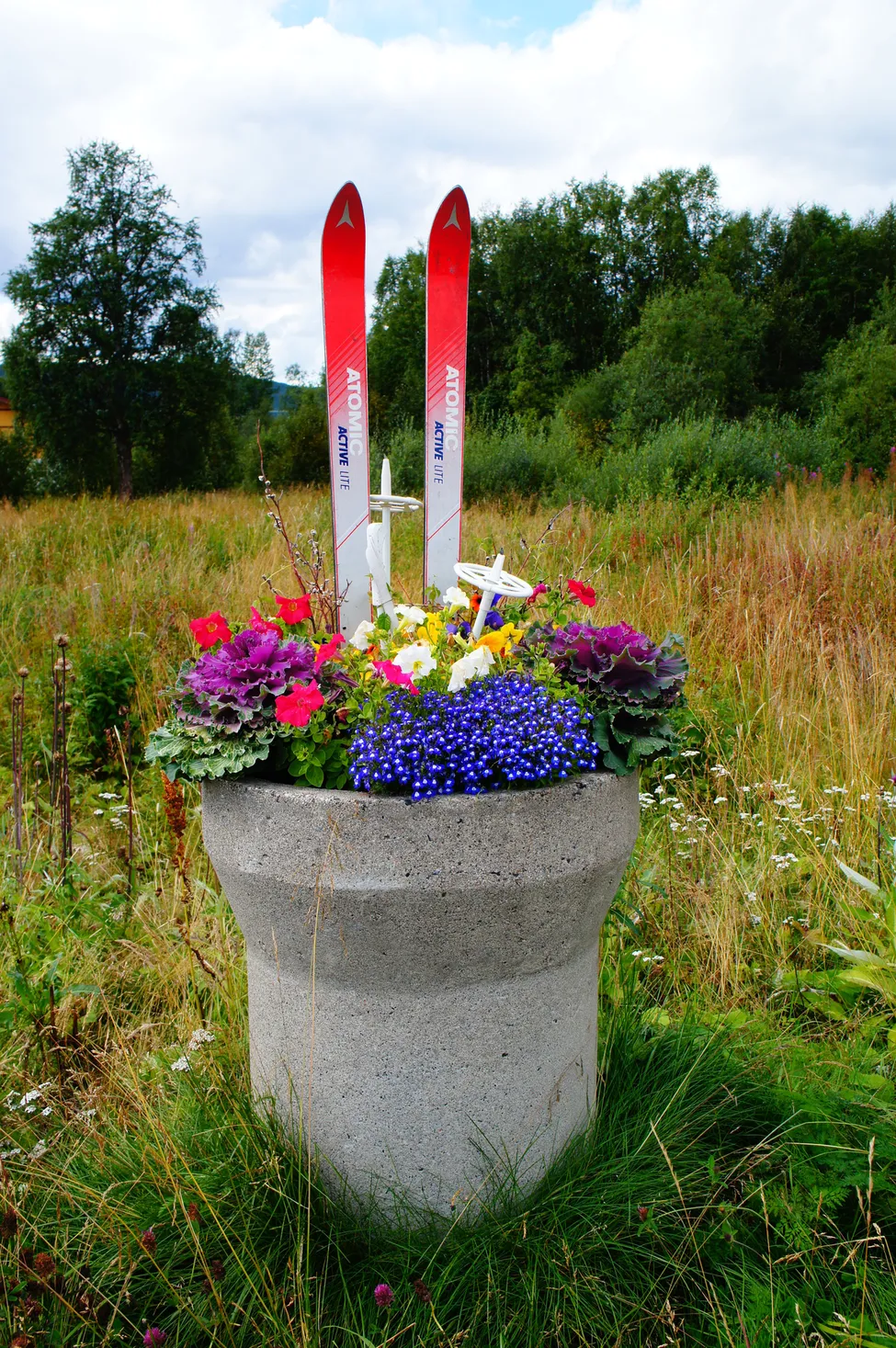 Klicka för att förstora