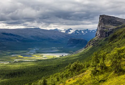 Fler Gröna Bandare än någonsin på väg längs den svenska fjällkedjan