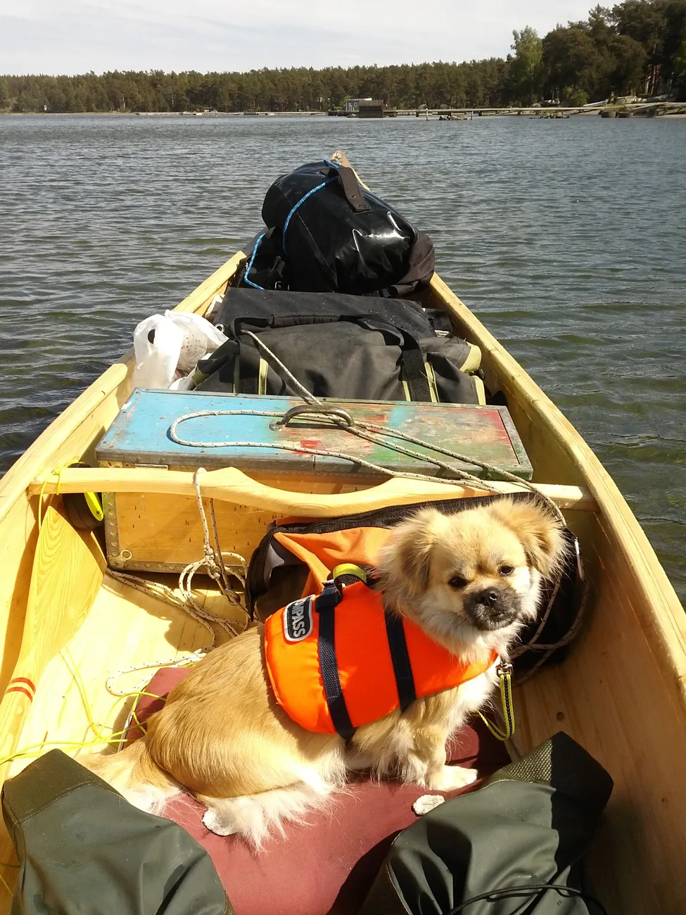 Klicka för att förstora