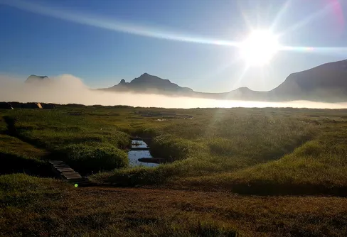 100 blir 150 dagar  ....Drivkrafter...