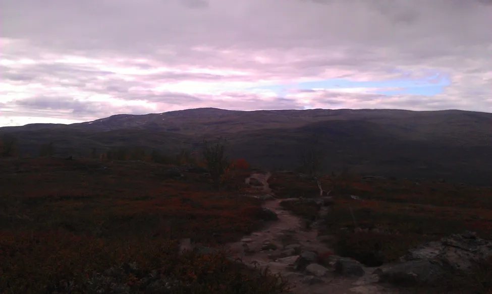 Klicka för att förstora