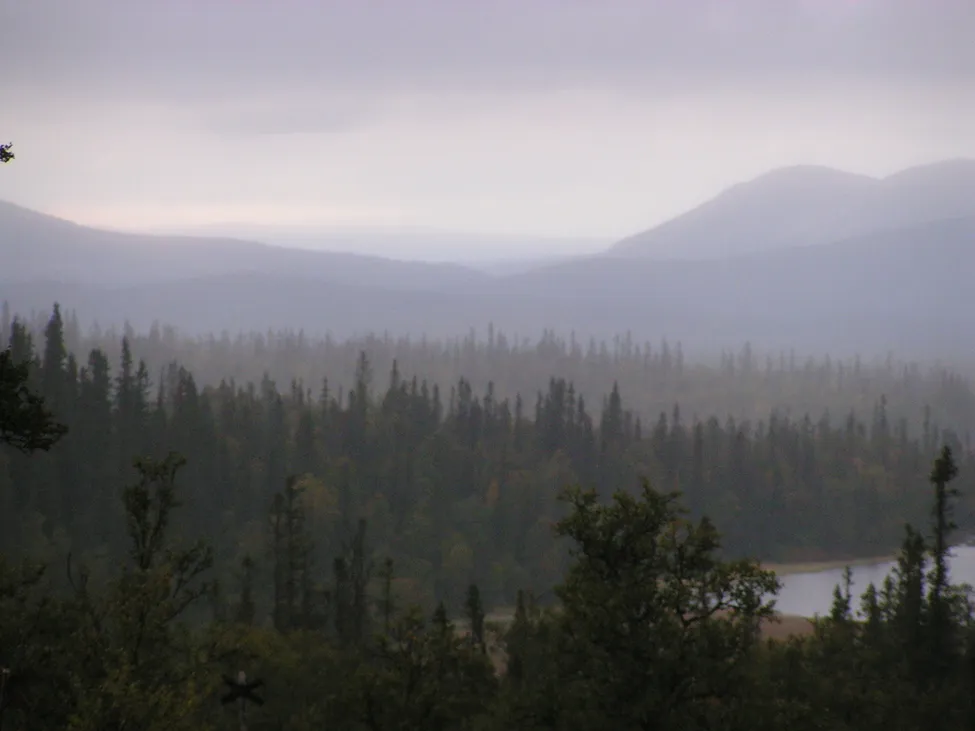 Klicka för att förstora
