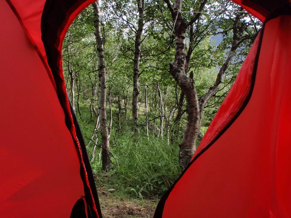 Klicka för att förstora