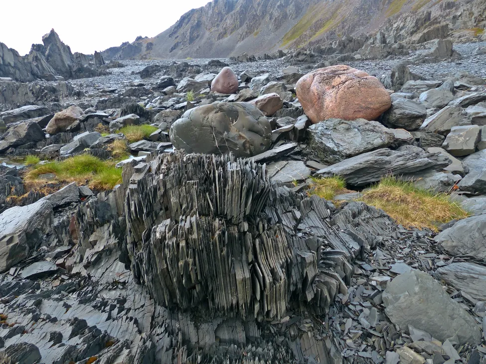 Klicka för att förstora