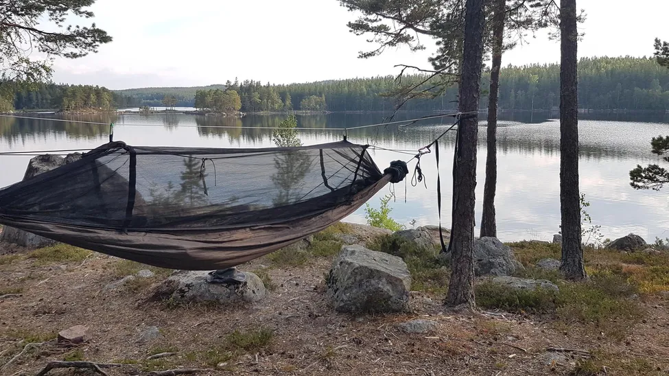 Klicka för att förstora