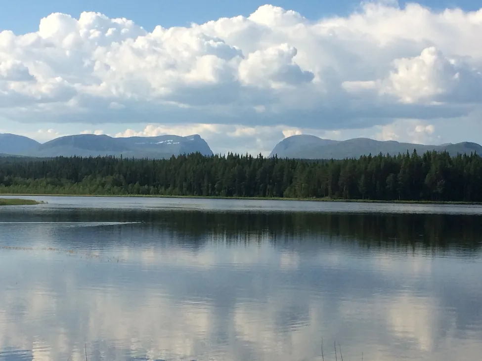 Klicka för att förstora