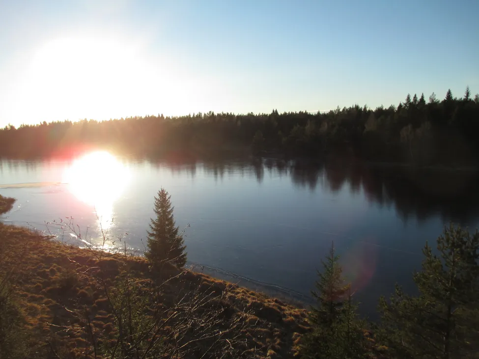 Klicka för att förstora