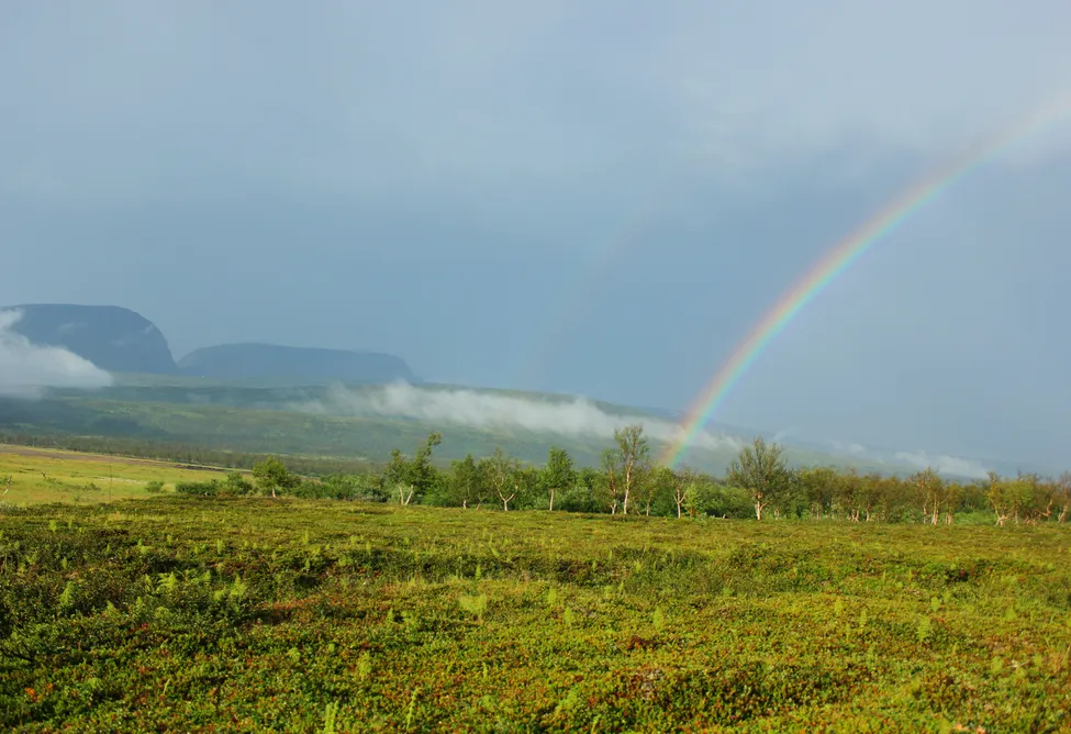 Klicka för att förstora