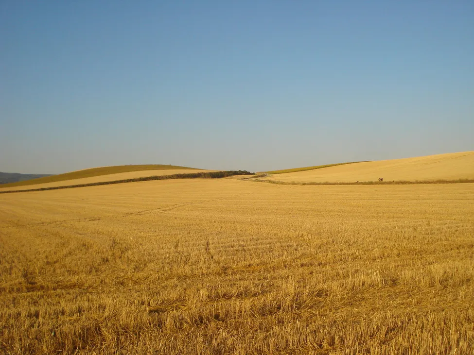 Klicka för att förstora